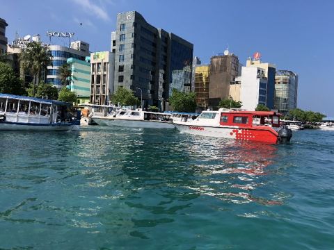 AIDA Transfer Cruise 2017 – 2