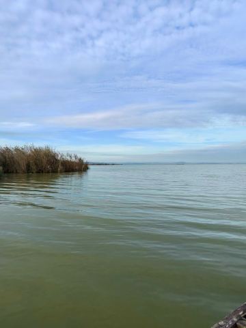 AIDA Gibraltar 2025 – 26