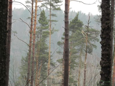 Elbe Sandstone Mountains 2012 – 309