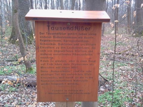 Elbe Sandstone Mountains 2012 – 42
