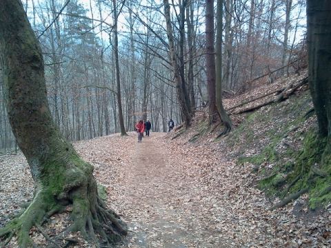 Elbe Sandstone Mountains 2012 – 183