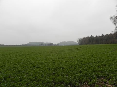 Elbe Sandstone Mountains 2012 – 310