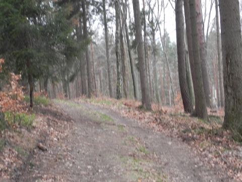 Elbe Sandstone Mountains 2012 – 308