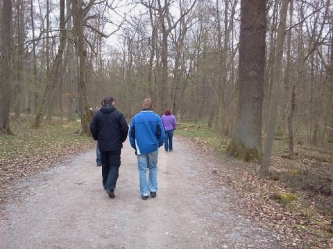 Elbe Sandstone Mountains 2012 – 45