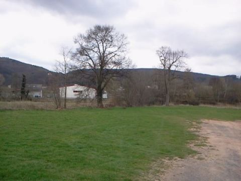 Elbe Sandstone Mountains 2012 – 6
