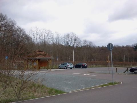 Elbe Sandstone Mountains 2012 – 31