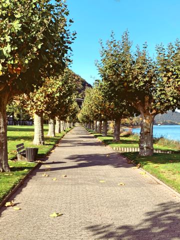 Moseltour 2020 – 2