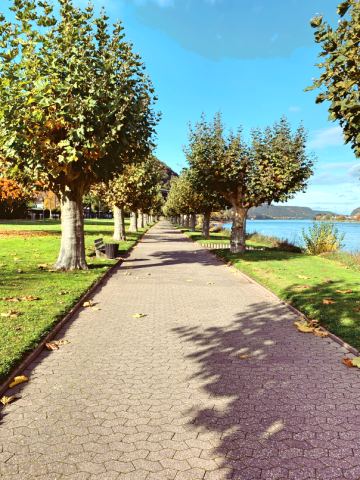 Moseltour 2020 – 27
