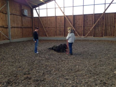 Wickede 2013 – 38