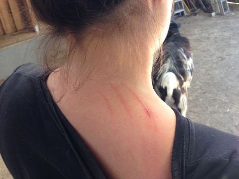 Wickede 2013 – 39